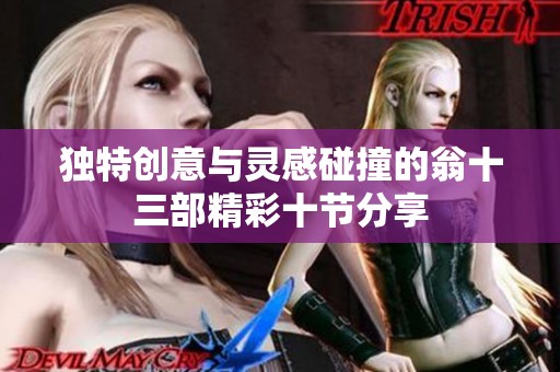 独特创意与灵感碰撞的翁十三部精彩十节分享