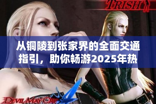 从铜陵到张家界的全面交通指引，助你畅游2025年热门景点探险之旅