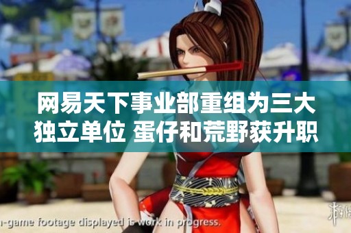 网易天下事业部重组为三大独立单位 蛋仔和荒野获升职为新事业部