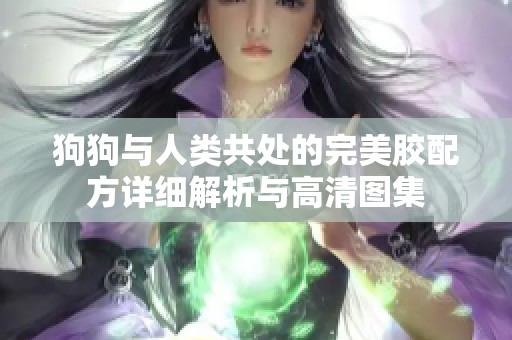 狗狗与人类共处的完美胶配方详细解析与高清图集