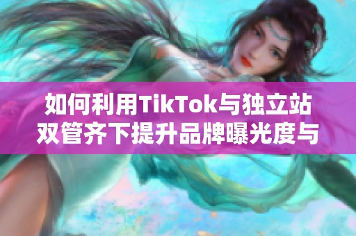 如何利用TikTok与独立站双管齐下提升品牌曝光度与销售额