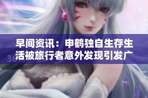 早间资讯：申鹤独自生存生活被旅行者意外发现引发广泛关注与讨论