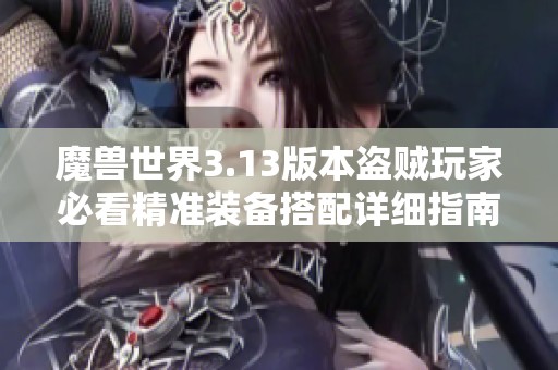 魔兽世界3.13版本盗贼玩家必看精准装备搭配详细指南和攻略分享