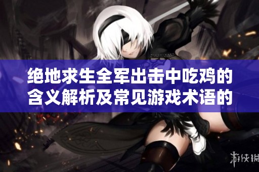绝地求生全军出击中吃鸡的含义解析及常见游戏术语的详细介绍