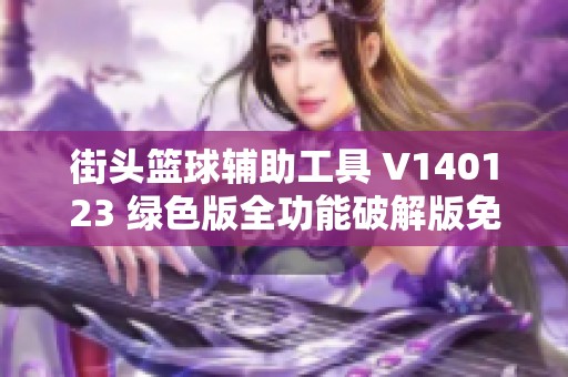街头篮球辅助工具 V140123 绿色版全功能破解版免费下载，畅享无限乐趣与游戏体验