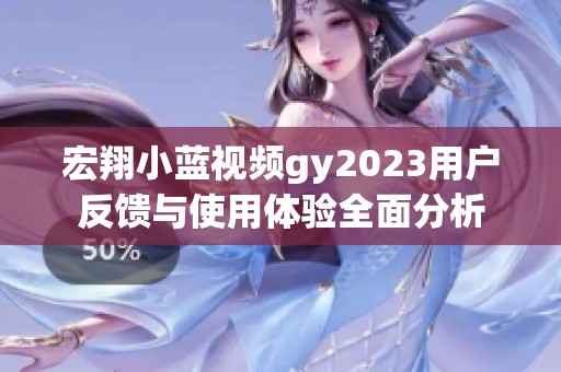 宏翔小蓝视频gy2023用户反馈与使用体验全面分析