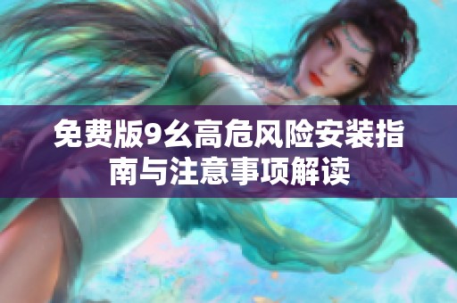 免费版9幺高危风险安装指南与注意事项解读