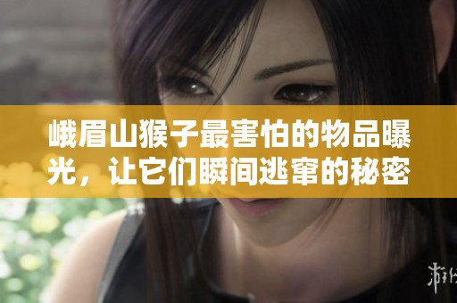 峨眉山猴子最害怕的物品曝光，让它们瞬间逃窜的秘密是什么