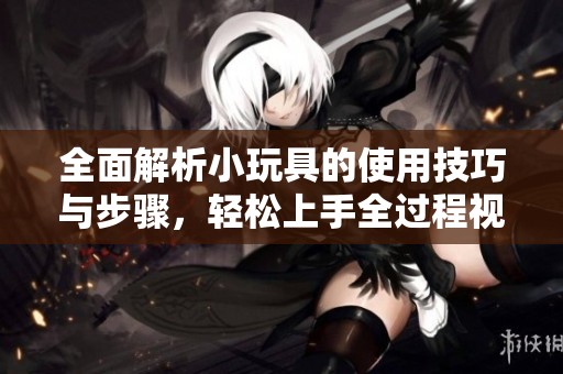 全面解析小玩具的使用技巧与步骤，轻松上手全过程视频教学