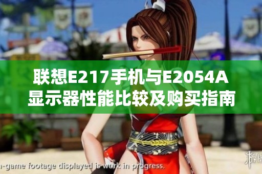 联想E217手机与E2054A显示器性能比较及购买指南解析