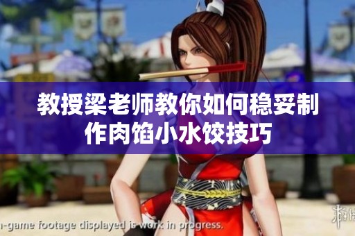 教授梁老师教你如何稳妥制作肉馅小水饺技巧