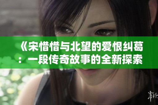 《宋惜惜与北望的爱恨纠葛：一段传奇故事的全新探索》