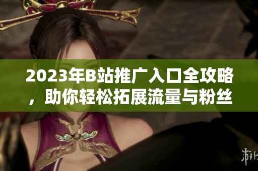 2023年B站推广入口全攻略，助你轻松拓展流量与粉丝