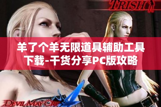 羊了个羊无限道具辅助工具下载-干货分享PC版攻略