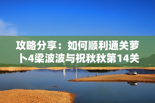 攻略分享：如何顺利通关萝卜4梁波波与祝秋秋第14关