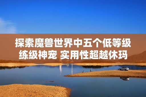 探索魔兽世界中五个低等级练级神宠 实用性超越休玛