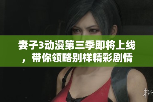 妻子3动漫第三季即将上线，带你领略别样精彩剧情