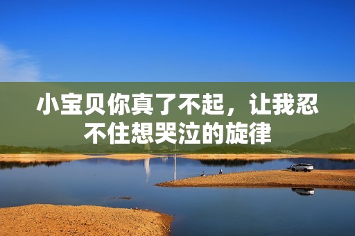 小宝贝你真了不起，让我忍不住想哭泣的旋律