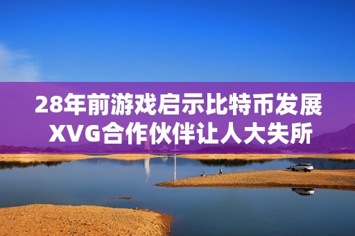 28年前游戏启示比特币发展 XVG合作伙伴让人大失所望