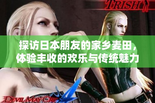 探访日本朋友的家乡麦田，体验丰收的欢乐与传统魅力
