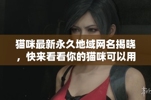 猫咪最新永久地域网名揭晓，快来看看你的猫咪可以用什么新名字