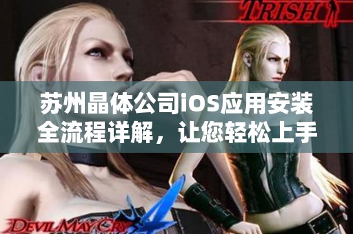 苏州晶体公司iOS应用安装全流程详解，让您轻松上手使用