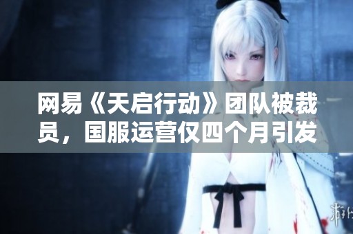 网易《天启行动》团队被裁员，国服运营仅四个月引发抄袭争议