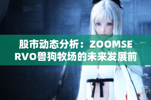 股市动态分析：ZOOMSERVO兽狗牧场的未来发展前景与投资策略