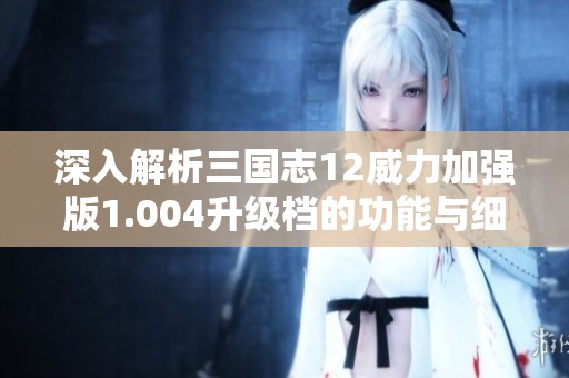 深入解析三国志12威力加强版1.004升级档的功能与细节变化