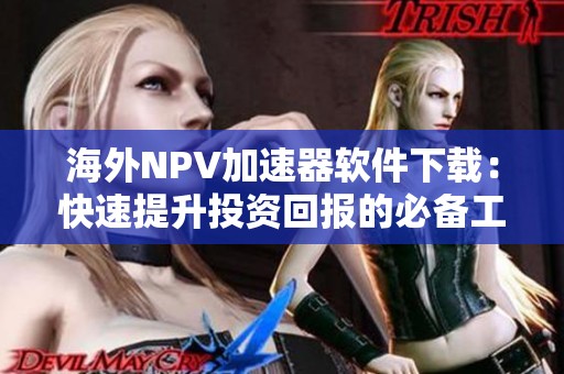 海外NPV加速器软件下载：快速提升投资回报的必备工具