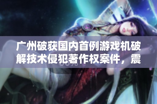 广州破获国内首例游戏机破解技术侵犯著作权案件，震撼业界