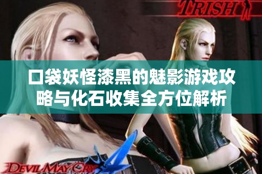 口袋妖怪漆黑的魅影游戏攻略与化石收集全方位解析