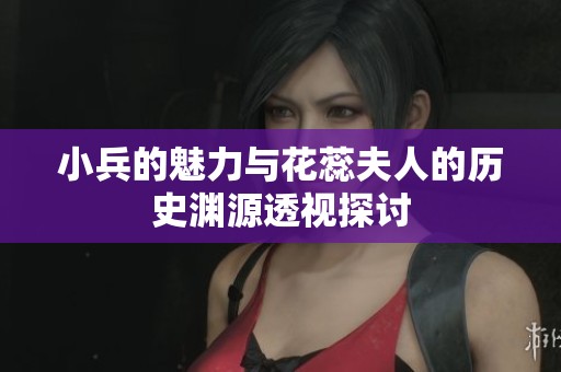 小兵的魅力与花蕊夫人的历史渊源透视探讨
