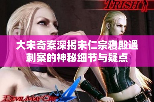 大宋奇案深揭宋仁宗寝殿遇刺案的神秘细节与疑点