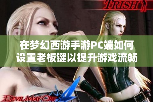 在梦幻西游手游PC端如何设置老板键以提升游戏流畅体验