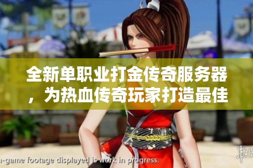 全新单职业打金传奇服务器，为热血传奇玩家打造最佳选择