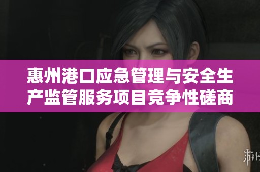 惠州港口应急管理与安全生产监管服务项目竞争性磋商公告解读