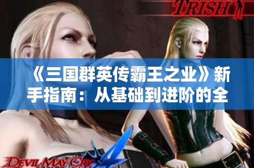 《三国群英传霸王之业》新手指南：从基础到进阶的全面操作技巧解析