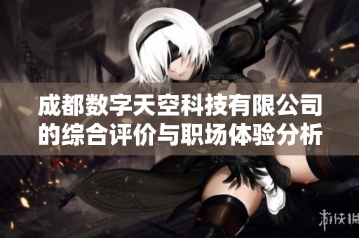 成都数字天空科技有限公司的综合评价与职场体验分析