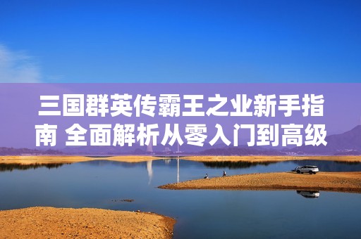 三国群英传霸王之业新手指南 全面解析从零入门到高级技巧攻略