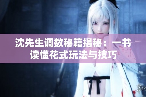 沈先生调数秘籍揭秘：一书读懂花式玩法与技巧
