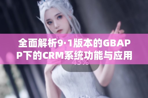 全面解析9·1版本的GBAPP下的CRM系统功能与应用效果