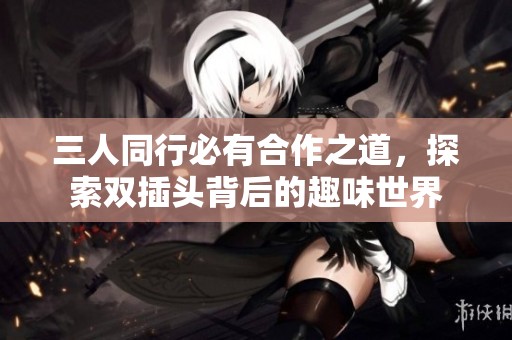 三人同行必有合作之道，探索双插头背后的趣味世界