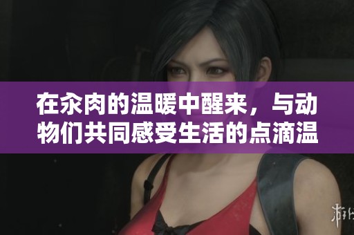 在汆肉的温暖中醒来，与动物们共同感受生活的点滴温情